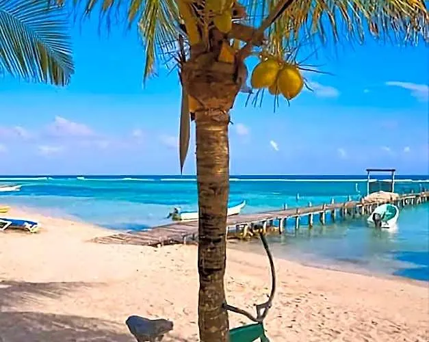 Hotel Prince, Loft & Rooftop, Private Pool & Jaccuzi Riviera Maya *
